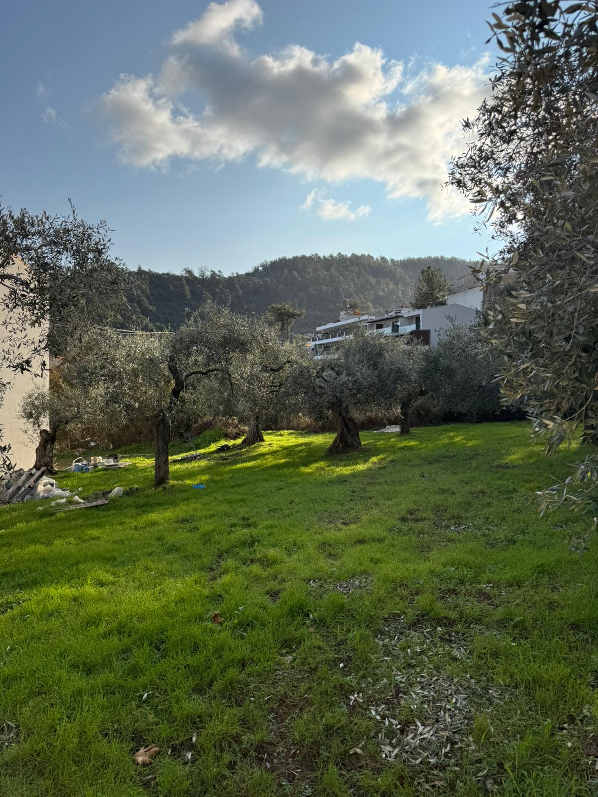 Real property view 5