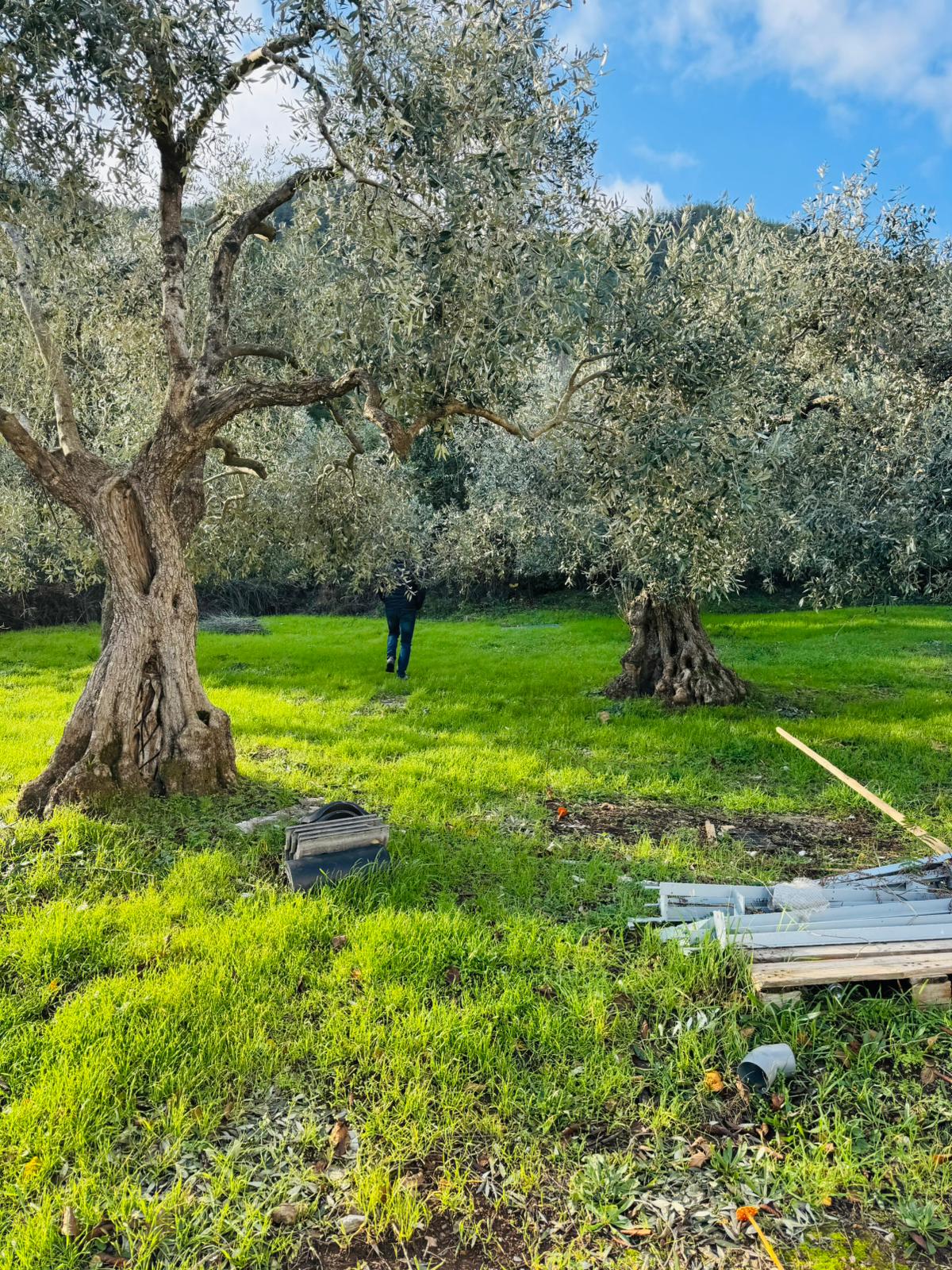 Real property view 8